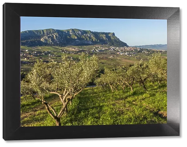europe, Italy, Sicily. The landscape of Monte Jato, surrounded by olive groves