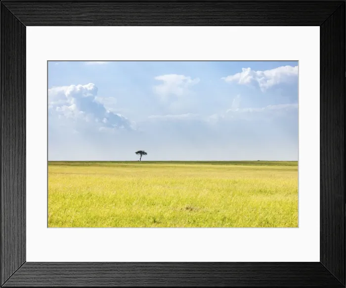 Framed Print : Mara Landscape, Masaai Mara, Kenya Framed Print : Mara Landscape, Masaai Mara, Kenya
