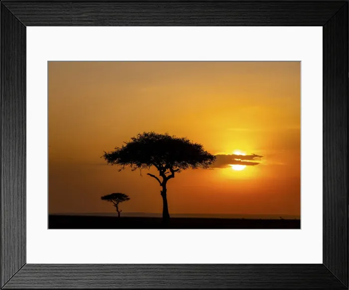 Framed Print : Mara Landscape at sunset, Masaai Mara, Kenya Framed Print : Mara Landscape at sunset, Masaai Mara, Kenya