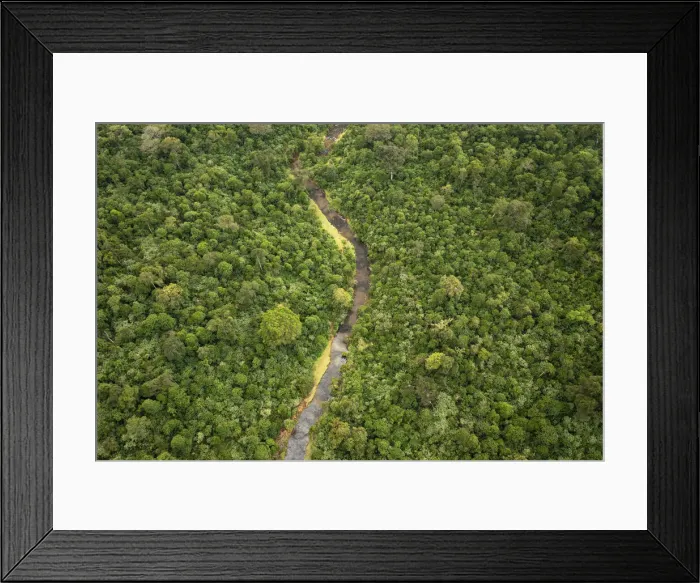 Framed Print : Mara River source aerial, Mau Mara Forest, Kenya Framed Print : Mara River source aerial, Mau Mara Forest, Kenya