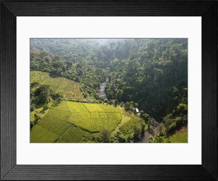 Framed Print : Mara River with tea plantations aerial, Mau Mara Forest, Kenya Framed Print : Mara River with tea plantations aerial, Mau Mara Forest, Kenya