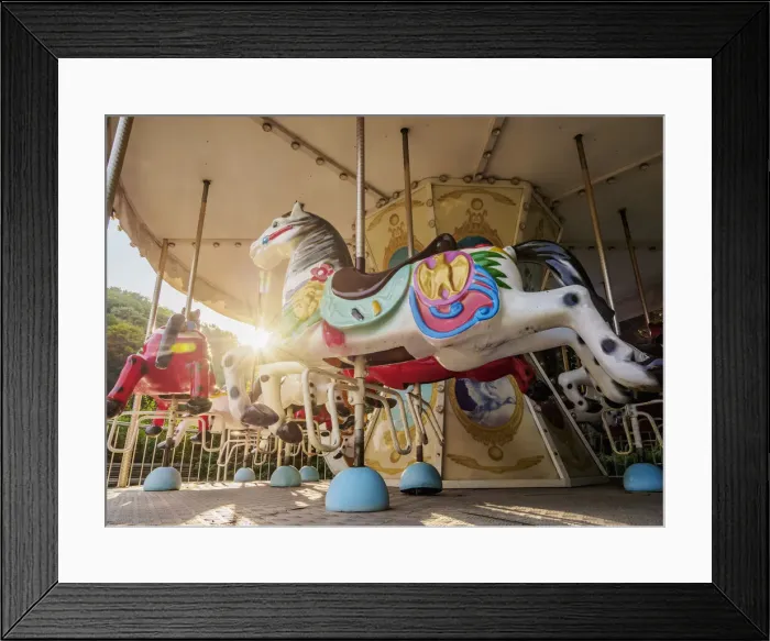 Framed Print : Carousel at Bernardine Garden, Vilnius, Lithuania
