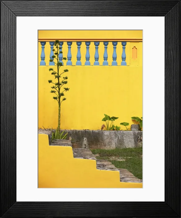 Framed Print : A detail of the Hacienda Cenote San Lorenzo Oxman, near Valladolid, Yucatan, Mexico Framed Print : A detail of the Hacienda Cenote San Lorenzo Oxman, near Valladolid, Yucatan, Mexico