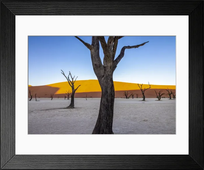 Framed Print : Deadvlei, Naukluft National Park, Namibia Framed Print : Deadvlei, Naukluft National Park, Namibia