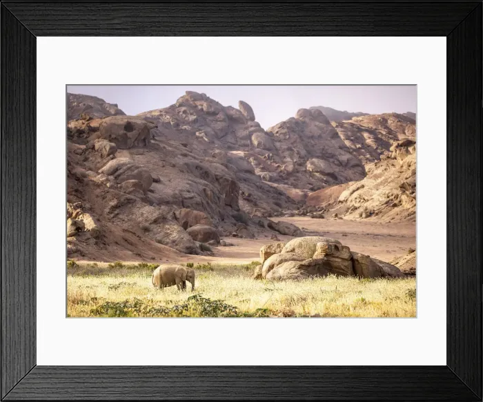 Framed Print : Elephant, Skeleton Coast National Park, Namibia Framed Print : Elephant, Skeleton Coast National Park, Namibia
