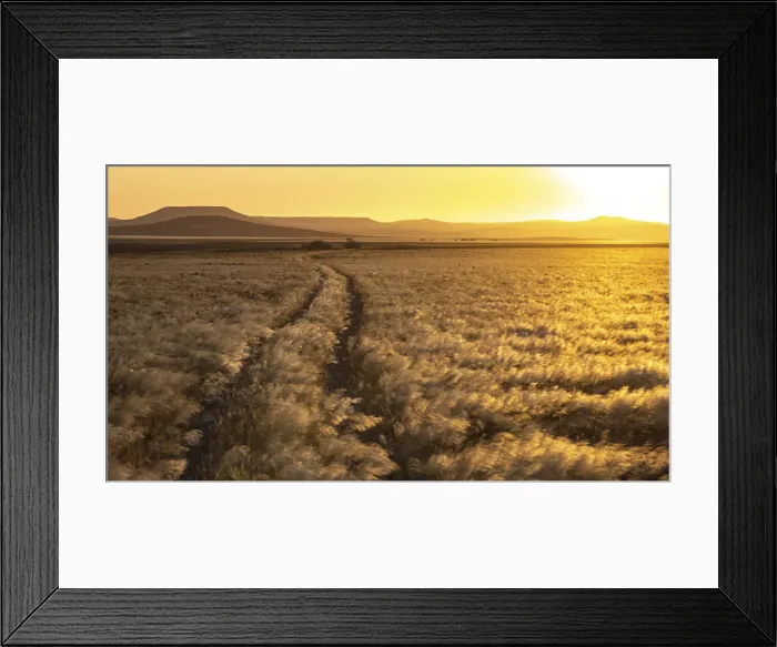 Framed Print : Safari Track, Skeleton Coast National Park, Namibia Framed Print : Safari Track, Skeleton Coast National Park, Namibia