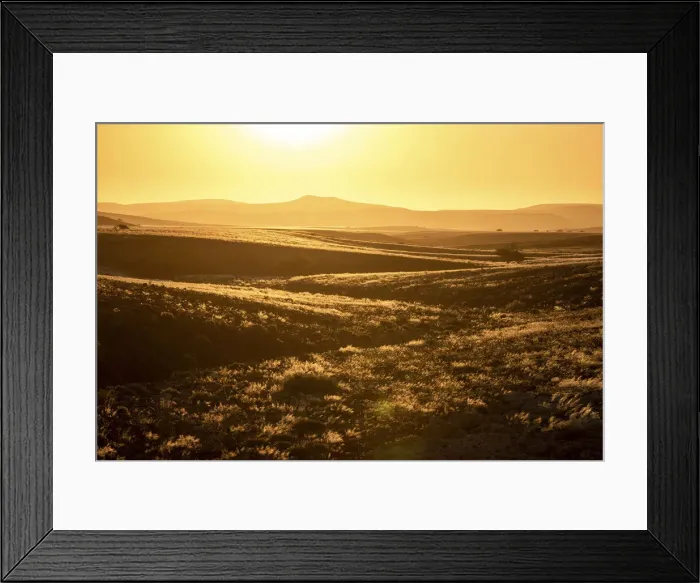 Framed Print : Sunset on grassy fields, Damaraland, Namibia Framed Print : Sunset on grassy fields, Damaraland, Namibia