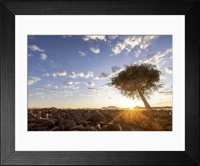 Framed Print : Sunrise with tree, Damaraland, Namibia Framed Print : Sunrise with tree, Damaraland, Namibia
