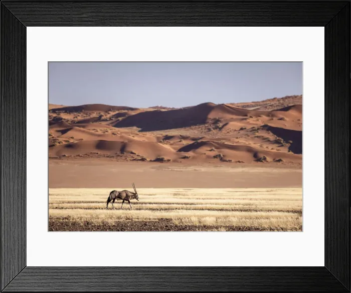 Framed Print : Oryx, Sossusvlei, Naukluft National Park, Namibia Framed Print : Oryx, Sossusvlei, Naukluft National Park, Namibia