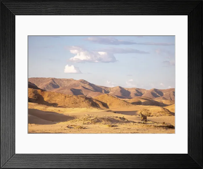 Framed Print : Oryx, Skeleton Coast National Park, Namibia Framed Print : Oryx, Skeleton Coast National Park, Namibia
