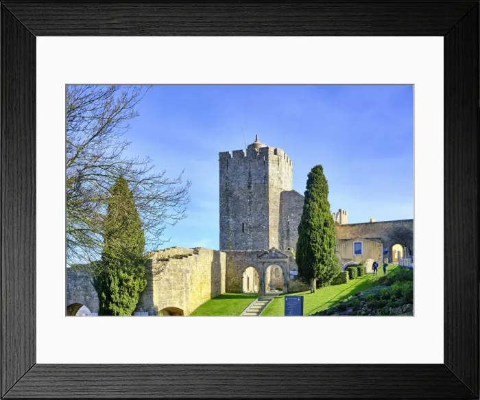 Framed Print : The medieval castle of Palmela, dating back to the 12th century. Portugal Framed Print : The medieval castle of Palmela, dating back to the 12th century. Portugal