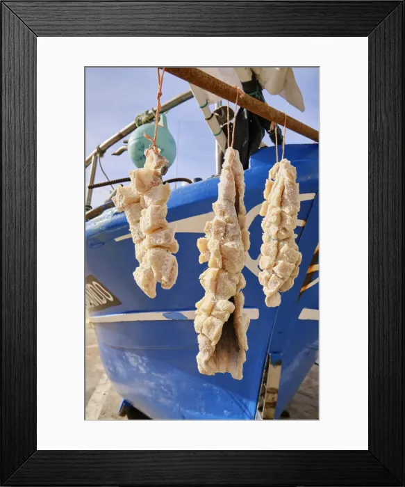 Framed Print : Ray fish drying under the sun and wind, on the street. Ericeira, Portugal Framed Print : Ray fish drying under the sun and wind, on the street. Ericeira, Portugal