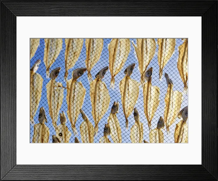 Framed Print : Blue whitings drying in the sun and wind. Nazare, Portugal Framed Print : Blue whitings drying in the sun and wind. Nazare, Portugal