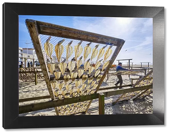 Blue whitings drying in the sun and wind. Nazare, Portugal