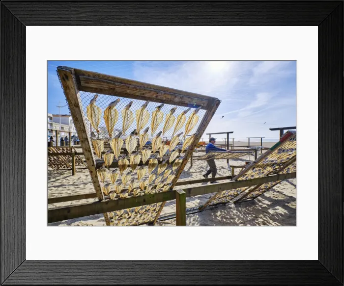Framed Print : Blue whitings drying in the sun and wind. Nazare, Portugal Framed Print : Blue whitings drying in the sun and wind. Nazare, Portugal