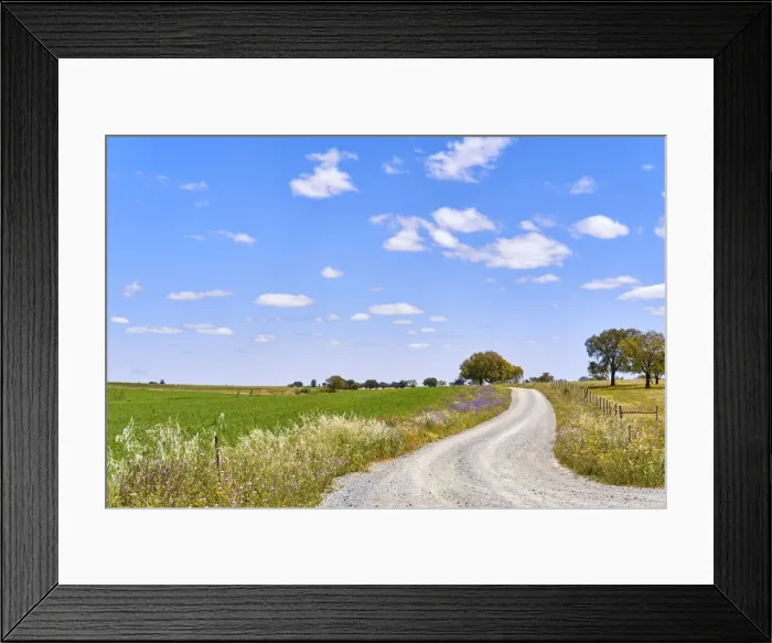 Framed Print : Wheat fields at Alvalade do Sado, Alentejo. Portugal Framed Print : Wheat fields at Alvalade do Sado, Alentejo. Portugal