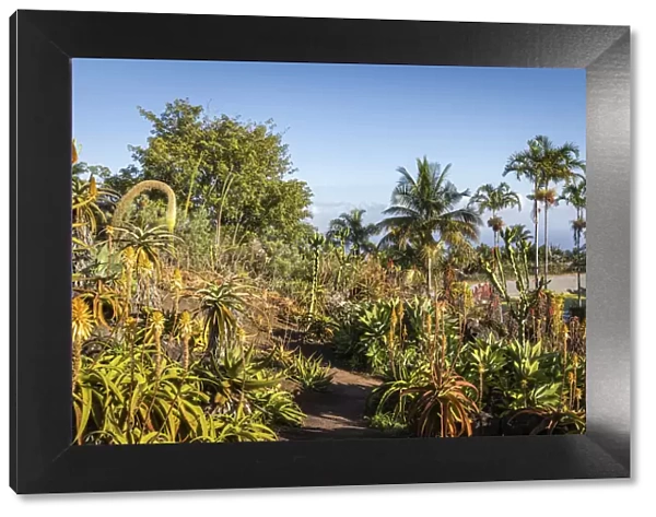 France, Reunion Island, Saint-Leu, Landscape at the Mascarins Botanic Garden
