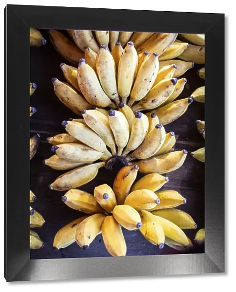 France, Reunion Island, Sainte-Suzanne, Bunch of bananas at the local market