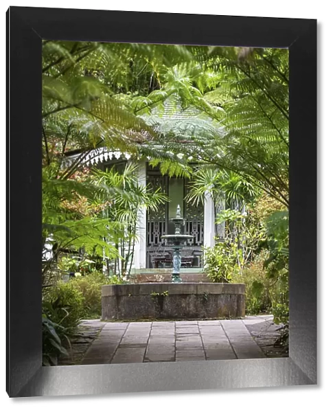France, Reunion Island, Hell-Bourg, The Maison Folio garden