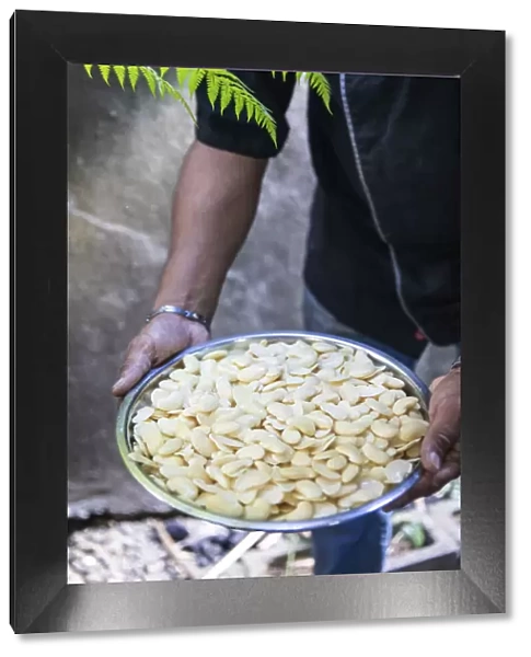 France, Reunion Island, Sainte-Suzanne, Hindu chef showing a plate of white beans
