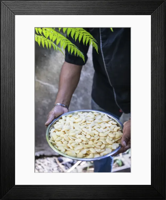 Framed Print : France, Reunion Island, Sainte-Suzanne, Hindu chef showing a plate of white beans