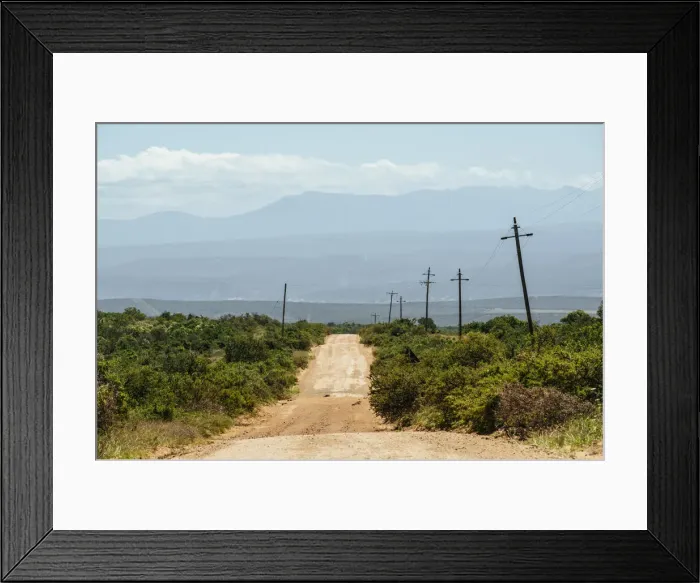 Framed Print : Addo Elephant National Park, Eastern Cape, South Africa Framed Print : Addo Elephant National Park, Eastern Cape, South Africa