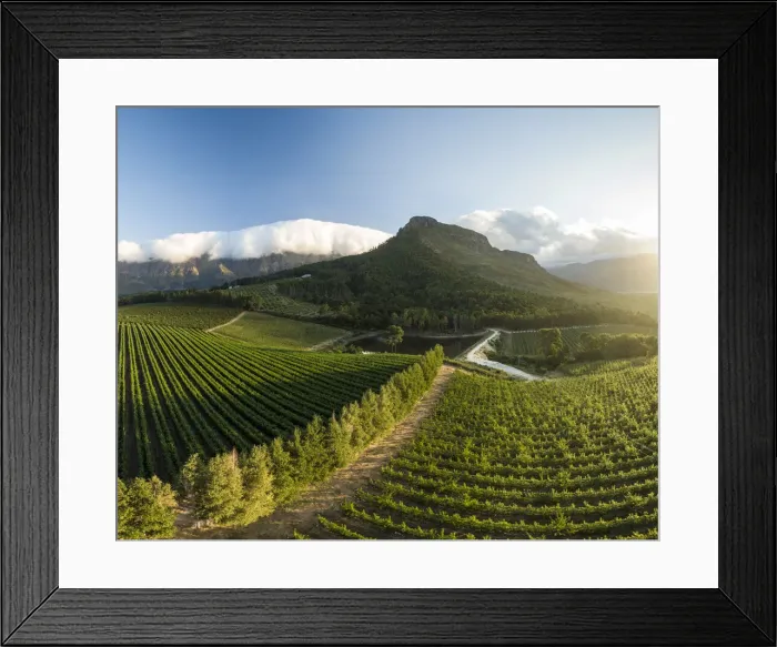 Framed Print : Aerial view of wine vineyards near Franschhoek, Western Cape, South Africa Framed Print : Aerial view of wine vineyards near Franschhoek, Western Cape, South Africa