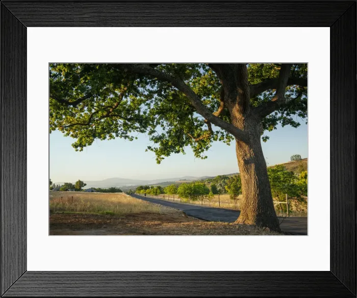 Framed Print : Landscape near Stellenbosch, Western Cape, South Africa Framed Print : Landscape near Stellenbosch, Western Cape, South Africa
