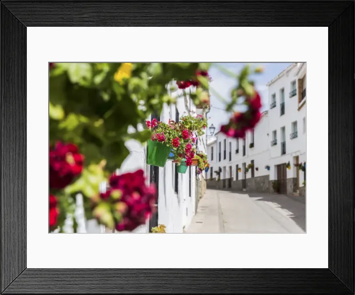 Framed Print : Spain, Anadalusia, Cadiz, El Gastor, Typical houses