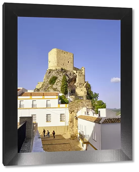 The medieval 12th century castle of Olvera, Andalucia. Spain