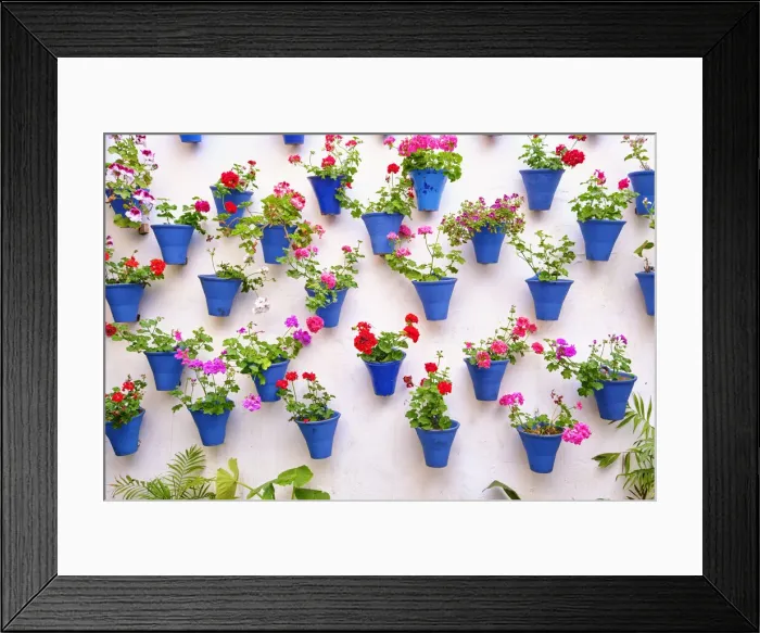 Framed Print : Detail of a traditional Patio of Cordoba, a courtyard full of flowers and freshness. Andalucia, Spain