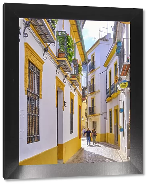 A traditional and coloured street in the old town of Cordoba, a UNESCO World Heritage Site. Andalucia, Spain