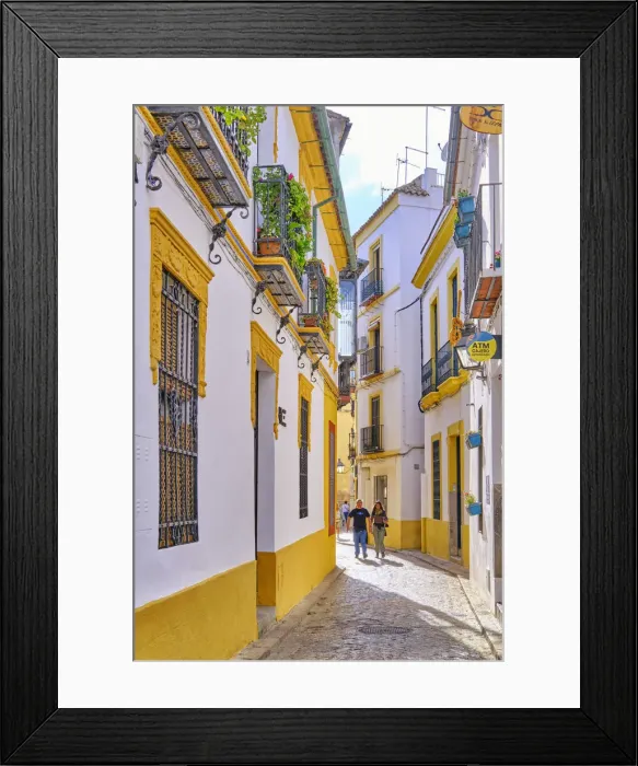 Framed Print : A traditional and coloured street in the old town of Cordoba, a UNESCO World Heritage Site. Andalucia, Spain Framed Print : A traditional and coloured street in the old town of Cordoba, a UNESCO World Heritage Site. Andalucia, Spain