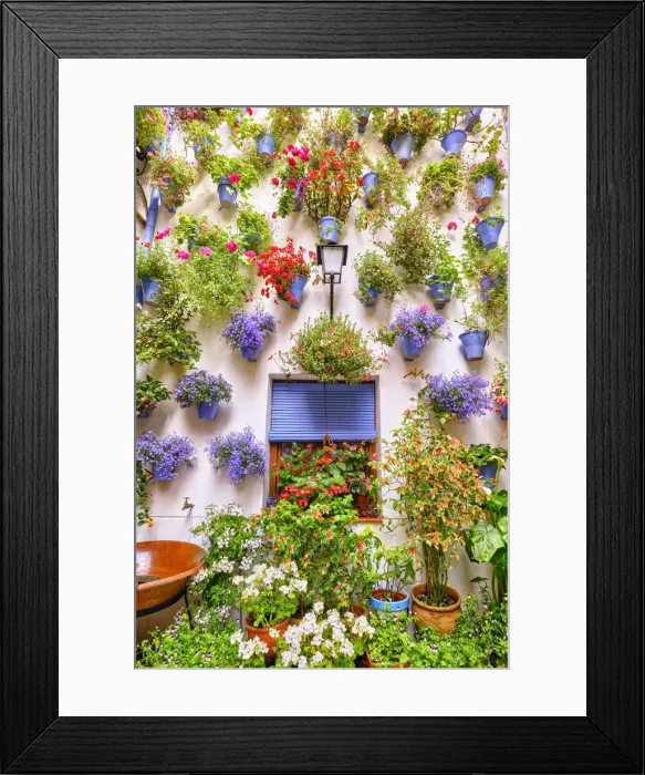 Framed Print : A traditional Patio of Cordoba, a courtyard full of flowers and freshness. San Basilio, Alcazar Viejo. Andalucia, Spain