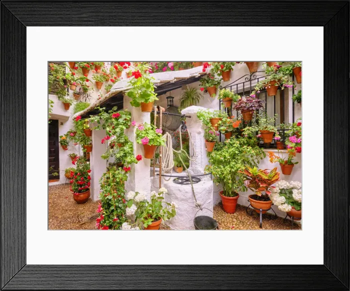 Framed Print : A traditional Patio of Cordoba, a courtyard full of flowers and freshness. San Basilio, Andalucia, Spain Framed Print : A traditional Patio of Cordoba, a courtyard full of flowers and freshness. San Basilio, Andalucia, Spain