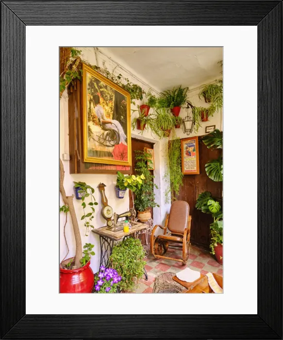 Framed Print : Detail of a traditional Patio of Cordoba, a courtyard full of flowers and freshness. San Basilio, Andalucia, Spain Framed Print : Detail of a traditional Patio of Cordoba, a courtyard full of flowers and freshness. San Basilio, Andalucia, Spain
