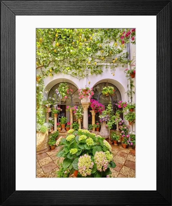 Framed Print : A traditional Patio of Cordoba, a courtyard full of flowers and freshness. A UNESCO Intangible Cultural Heritage of Humanity. Andalucia, Spain