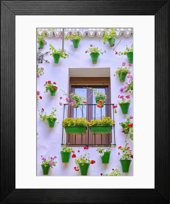 Framed Print : Detail of a traditional Patio of Cordoba, a courtyard full of flowers and freshness. A UNESCO Intangible Cultural Heritage of Humanity. Andalucia, Spain