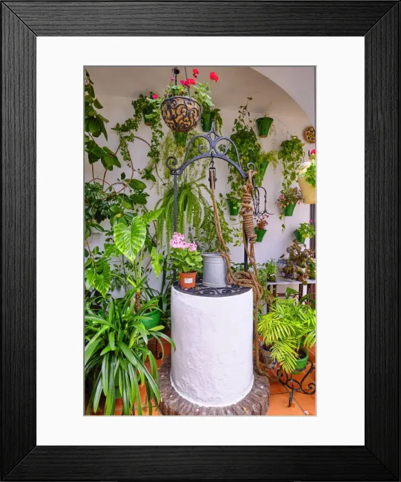 Framed Print : The well, for centuries the central piece of the patios in Cordoba. Andalucia, Spain