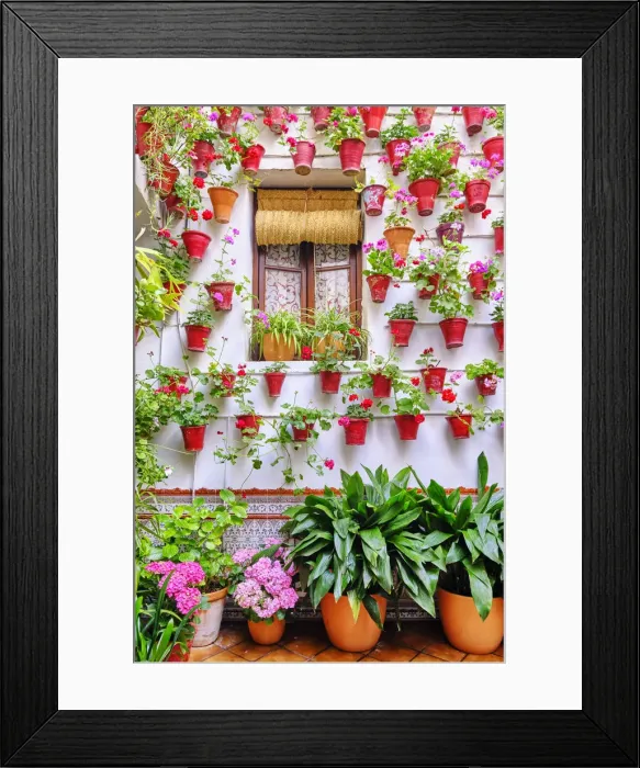 Framed Print : Detail of a traditional Patio of Cordoba, a courtyard full of flowers and freshness. San Francisco district, Andalucia. Spain