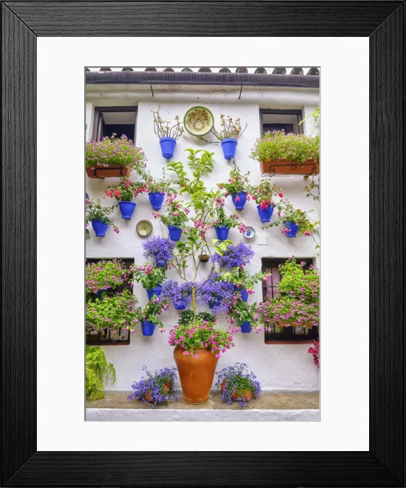 Framed Print : Patio (courtyard) full of flowers and freshness of the Asociacion de Amigos de los Patios Cordobeses, San Basilio district. A UNESCO Intangible Cultural Heritage of Humanity. Cordoba, Andalucia. Spain Framed Print : Patio (courtyard) full of flowers and freshness of the Asociacion de Amigos de los Patios Cordobeses, San Basilio district. A UNESCO Intangible Cultural Heritage of Humanity. Cordoba, Andalucia. Spain