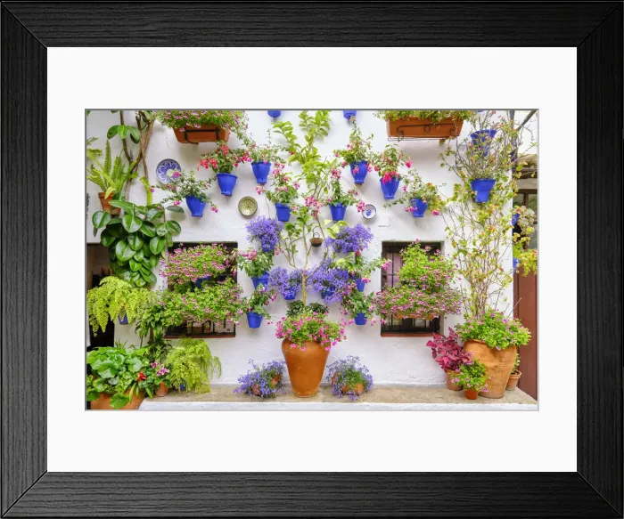 Framed Print : Patio (courtyard) full of flowers and freshness of the Asociacion de Amigos de los Patios Cordobeses, San Basilio district. A UNESCO Intangible Cultural Heritage of Humanity. Cordoba, Andalucia. Spain Framed Print : Patio (courtyard) full of flowers and freshness of the Asociacion de Amigos de los Patios Cordobeses, San Basilio district. A UNESCO Intangible Cultural Heritage of Humanity. Cordoba, Andalucia. Spain