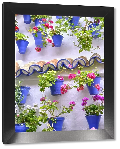 A detail of a traditional Patio of Cordoba, a courtyard full of flowers and freshness. A UNESCO Intangible Cultural Heritage of Humanity. Andalucia, Spain