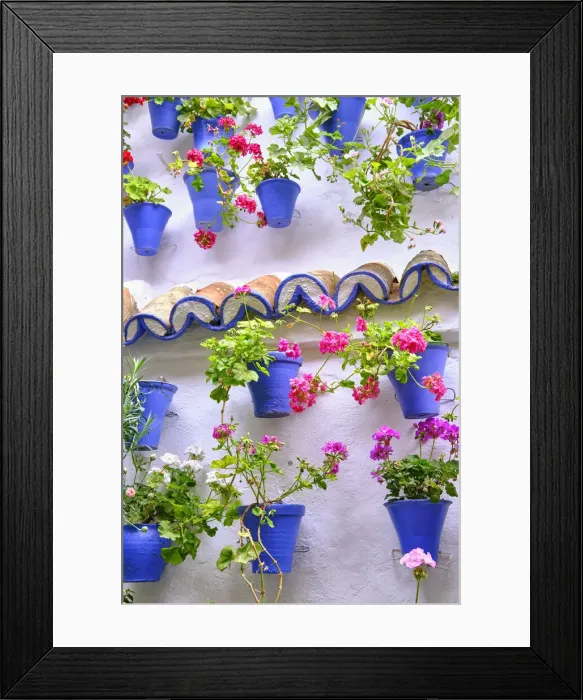 Framed Print : A detail of a traditional Patio of Cordoba, a courtyard full of flowers and freshness. A UNESCO Intangible Cultural Heritage of Humanity. Andalucia, Spain