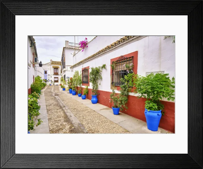 Framed Print : Street in San Basilio during the Fiesta de los Patios. A UNESCO Intangible Cultural Heritage of Humanity. Cordoba, Andalucia. Spain Framed Print : Street in San Basilio during the Fiesta de los Patios. A UNESCO Intangible Cultural Heritage of Humanity. Cordoba, Andalucia. Spain
