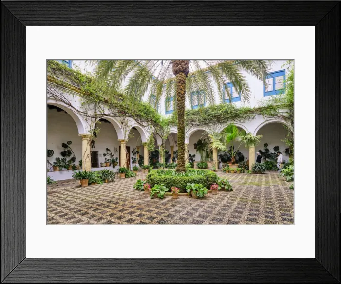 Framed Print : Main courtyard of the Palacio de Viana, a 14th century palace. Cordoba, Andalucia, Spain