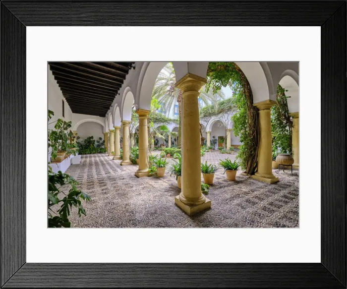 Framed Print : Main courtyard of the Palacio de Viana, a 14th century palace. Cordoba, Andalucia, Spain Framed Print : Main courtyard of the Palacio de Viana, a 14th century palace. Cordoba, Andalucia, Spain