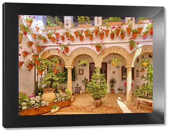 A traditional Patio of Cordoba, a courtyard full of flowers and freshness. Juderia. A UNESCO Intangible Cultural Heritage of Humanity. Andalucia, Spain