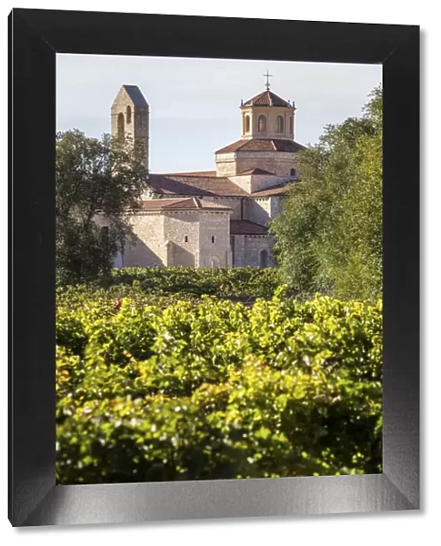 Spain, Castile and Leon, Valladolid, Valbuena de Duero, The Valbuena Monastery from the surrounding vineyards