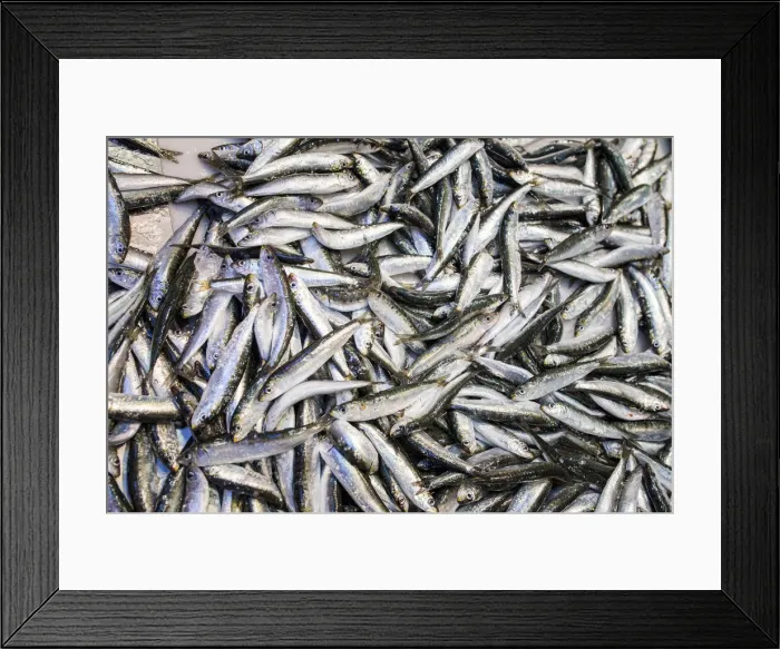 Framed Print : Spain, Andalusia, Malaga, Atarazanas Market, Sardines on sale Framed Print : Spain, Andalusia, Malaga, Atarazanas Market, Sardines on sale